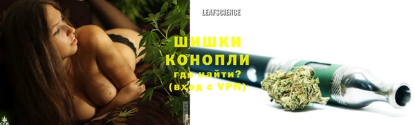 spice Краснослободск