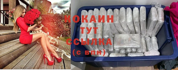 spice Краснослободск