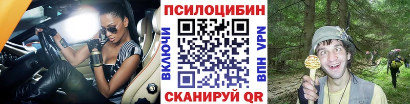 Псилоцибиновые грибы Psilocybine cubensis  Купить где  Новоалександровск 